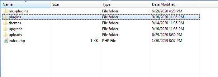 The plugins Folder