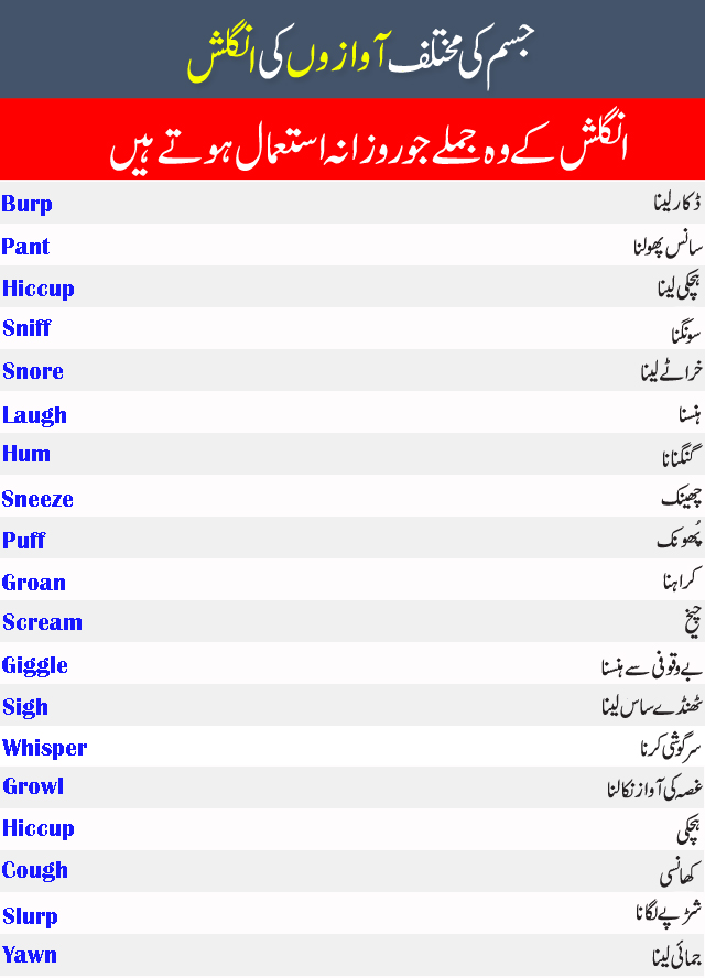 DAILY USE BODY NOISES AND SOUNDS VOCABULARY WITH URDU