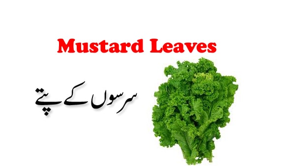 Mustard leaves