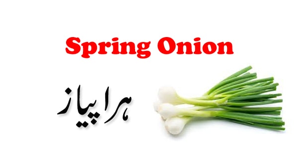 spring-onion