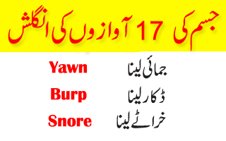 Daily Use Body Noises and Sounds Vocabulary with Urdu