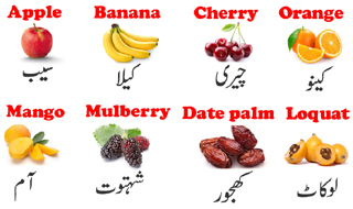 List-fruits-name-in-english