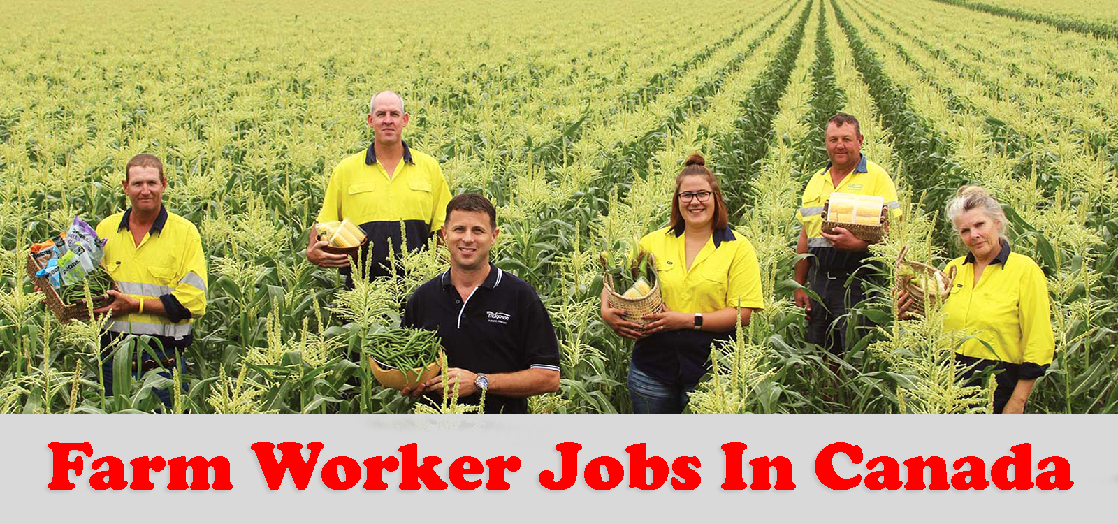 Farm Worker Vacancy Available In Canada