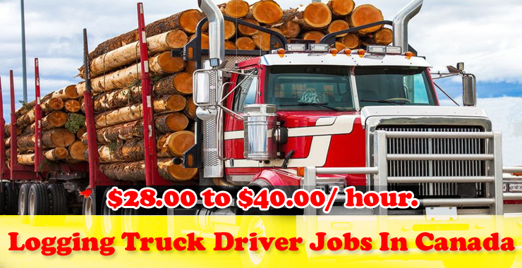 Logging Truck Driver Jobs In Canada 2021